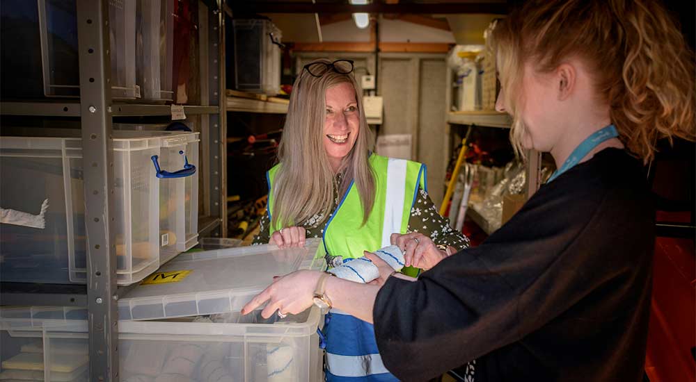 Main Street America Insurance tweet media