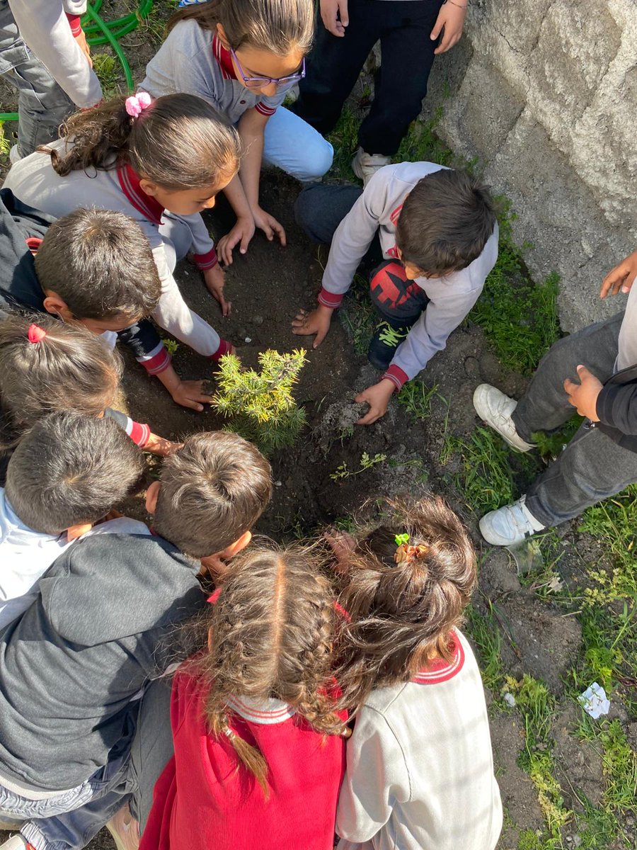 ACIGOLMEM's tweet photo. "Mavi Yeşil Etiket" projesi kapsamında Karapınar İlkokulu öğrencileri fidanlarını dikti. @semihkirim @yusufyaz66 @nevsehirmem https://t.co/Lk7Cus739T