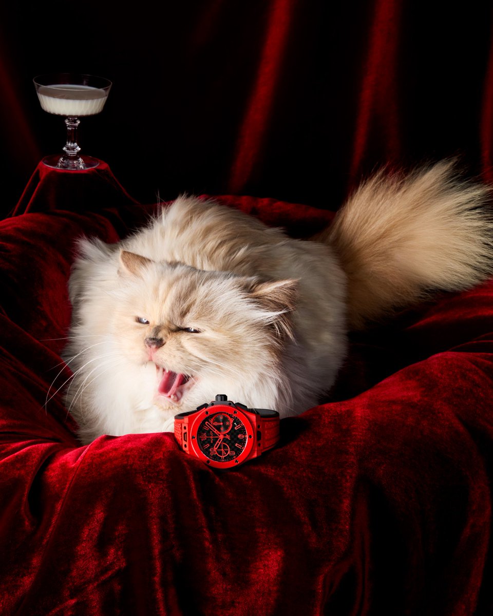 Handle at your own risk. #Hublot #BigBangAnniversary #OwnIt #choupettelagerfeld