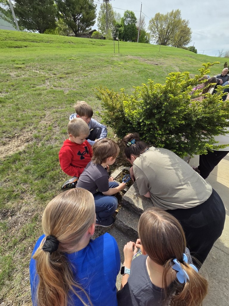 Beautiful May weather means classes are getting outside more and more. Yesterday, 5F went on a 'nature walk' with AM Preschool. They even got to see a wild bunny.