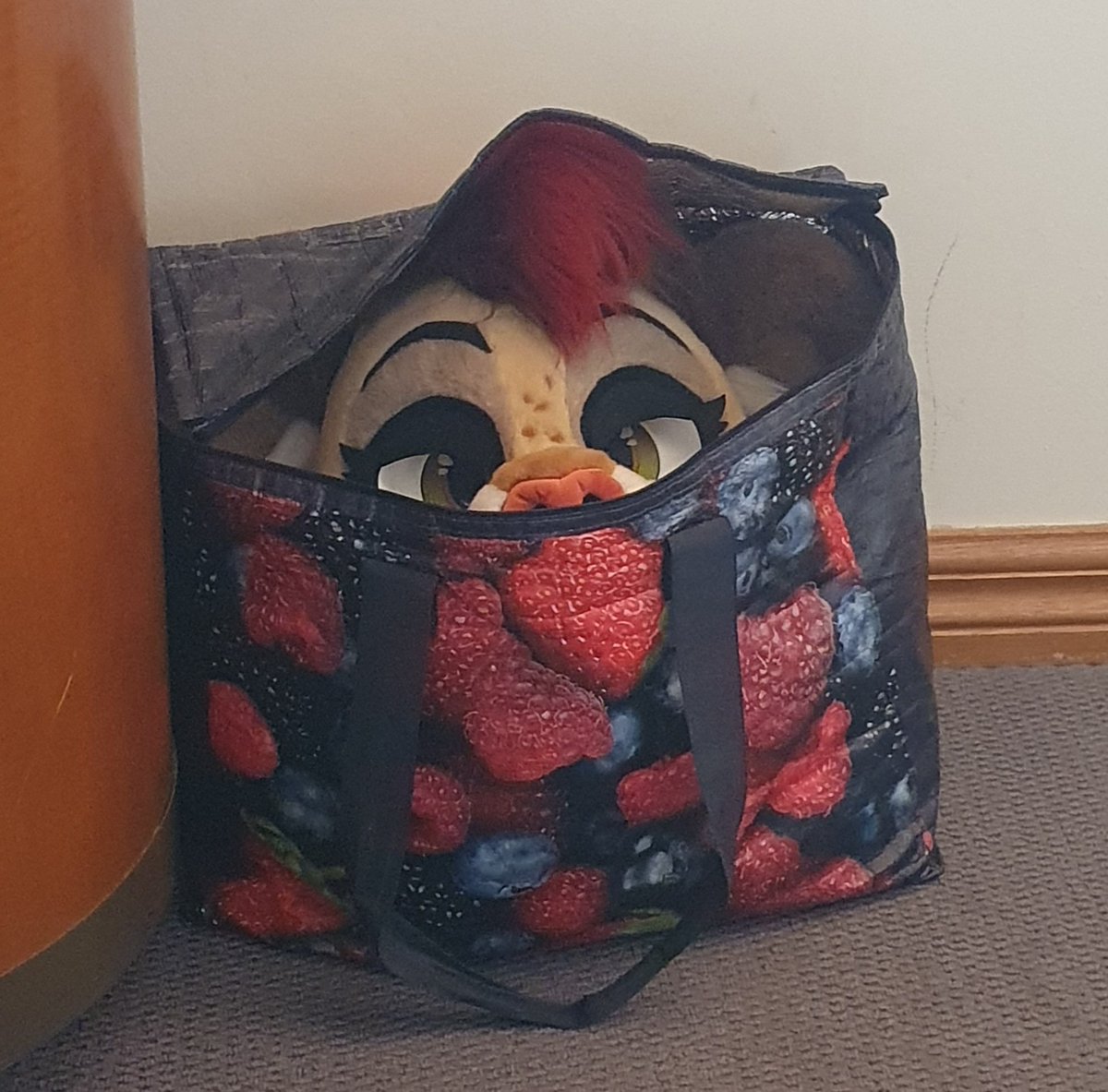 SneakyyLion's tweet image. How to find me at FWA

You don&apos;t... I&apos;m not there
(Sneak 100)

Do&apos;s: 
- Talk to me anyway, I wanna chat ✅️
- send me cat photos ✅️