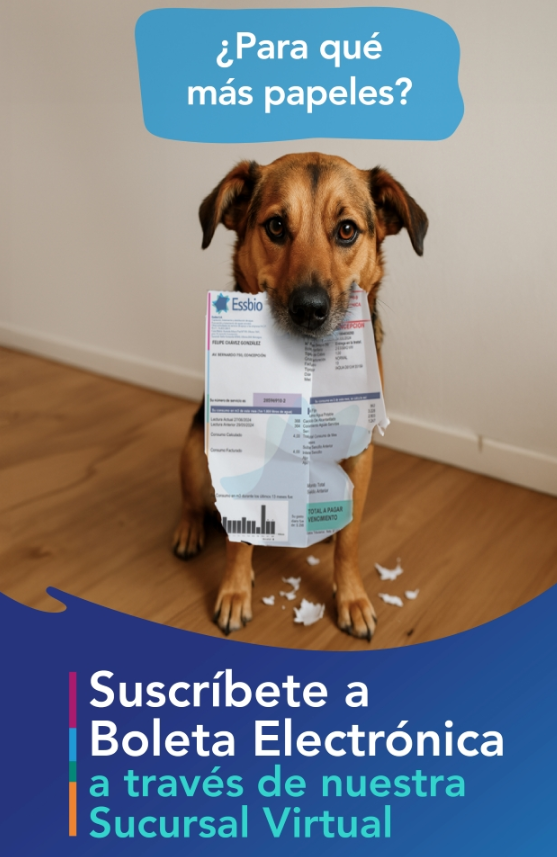 IEPozoArros's tweet photo. Mi madre, como buen "adulto mayor" prefiere las cuentas aún en papel, y como está a mi nombre me llegan a mi estos correos, me encantó 😍🐶
#Essbio https://t.co/u3xABEmD7a