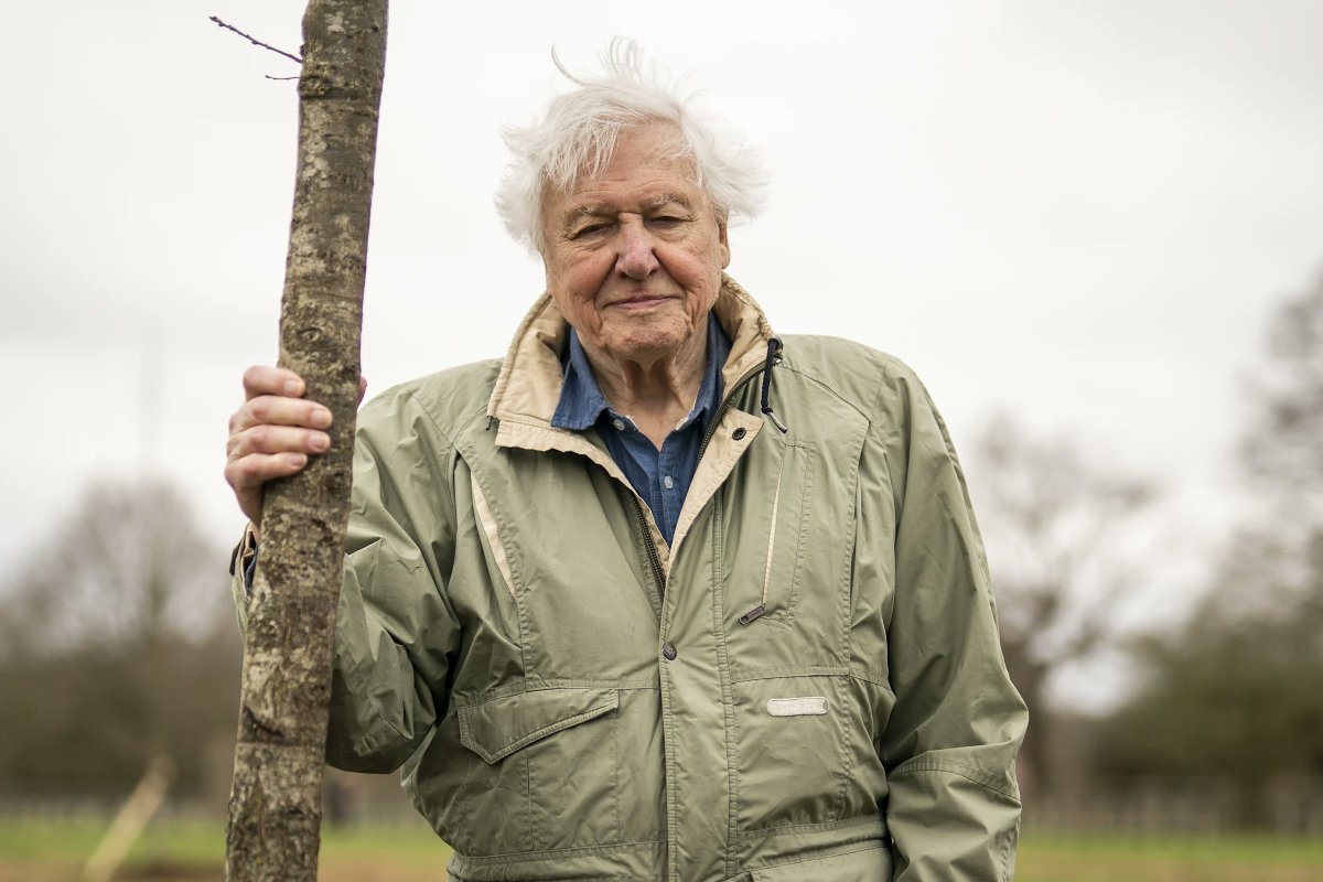 "We need to work with nature, not against it." – Sir David Attenborough

Happy 99th birthday to the voice of our planet, a lifelong defender of the wild, and an inspiration to generations. 💚Thank you for showing us the beauty worth protecting. 🌎

📸 Getty Images