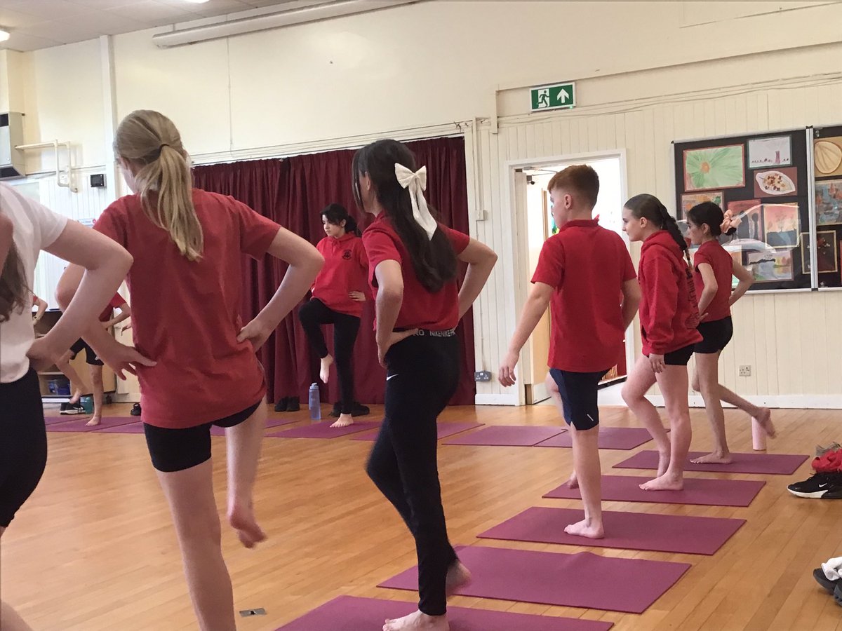 Captain Cook Primary tweet media