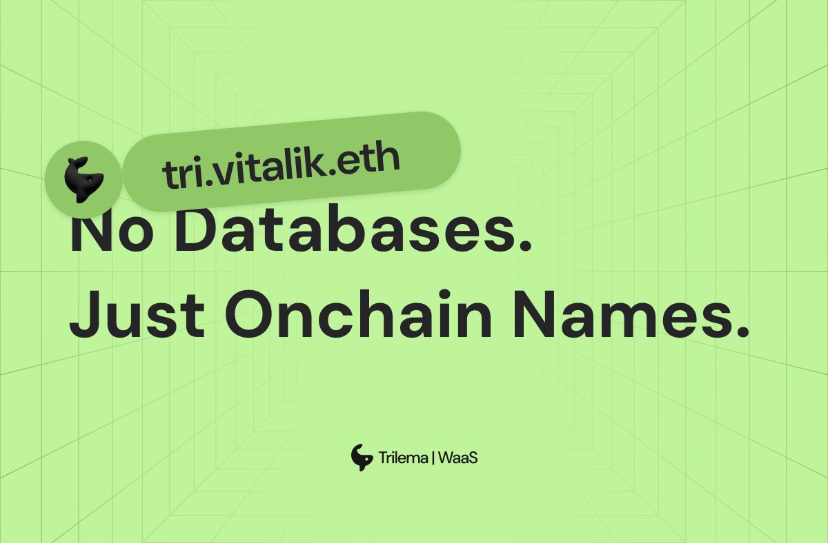 Trilema Name Service brings verifiable, user-friendly identities to your applications, entirely onchain.

No centralized storage. No external dependencies.