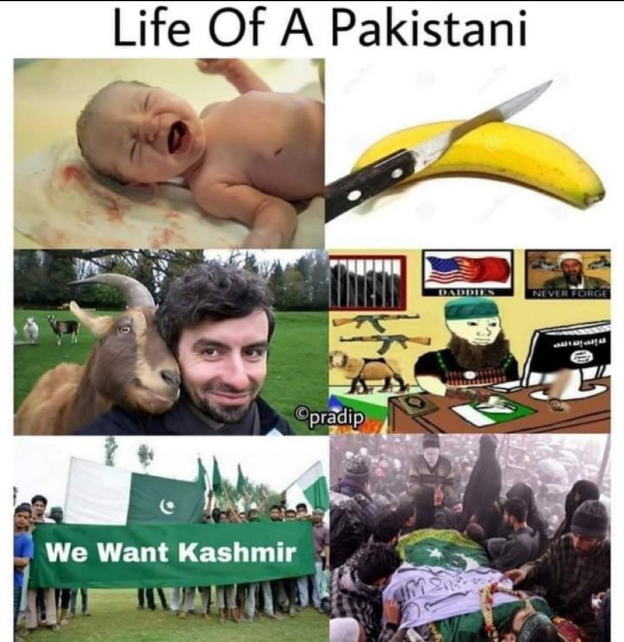 GqbeiZLWQAAdQaH?format=jpg&name=large