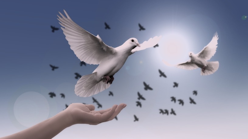 Let Peace Prevail Between India &amp; Pakistan
🇮🇳🤝🇵🇰

It’s time to rise above hate and embrace humanity.
Borders may divide us, but hearts can unite us.
Let’s celebrate our shared culture, love for chai, cricket, and kindness!
☕🏏❤️

Peace isn’t a dream — it’s a choice.
Let’s