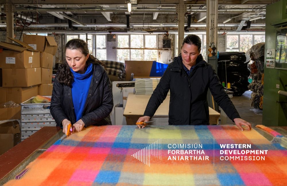 WesternDevelopment.ie tweet media