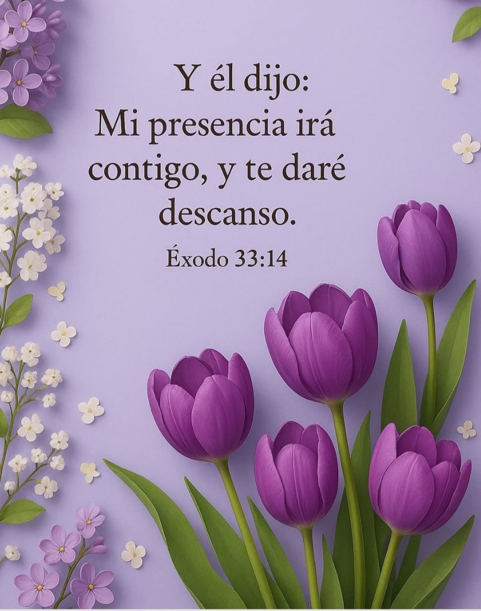 Feliz y bendecido jueves 🌷

<a href="/ACaro_Ayala/">Carolina Ayala</a> <a href="/Carmenlop20/">Carmen Lopez</a>  <a href="/CynthiaCuenca2/">Cynthia Cuenca 🇵🇾</a> <a href="/Roberto78801369/">Roberto Espinola</a> <a href="/Ida_Aurora/">Ida 💖🌷💁🏻‍♀️☕🍰🌷💖</a> <a href="/katr_elena/">Elena.katr.</a> <a href="/leticia250566/">Mayra Leticia</a>  <a href="/SerranoLandy/">🌻 𝑹𝒊𝒄𝒊𝒕𝒐𝒔 𝒅𝒆 𝑶𝒓𝒐🌻</a> <a href="/LydiaPrez14/">Lydia Esther</a> <a href="/hlt101660/">Héctor López</a> <a href="/Mariita9147/">HULDA</a> <a href="/Elias1495330979/">Elias aleman</a> <a href="/MartinezG9382/">Mario Edwin Martinez Garcia</a> <a href="/NectarMontesino/">Ing Néctar Augusto ⚖</a> <a href="/NectarAugusto/">Ing Néctar Augusto ⚖</a> <a href="/XeniaGonzalez7/">Xenia Gonzalez</a>