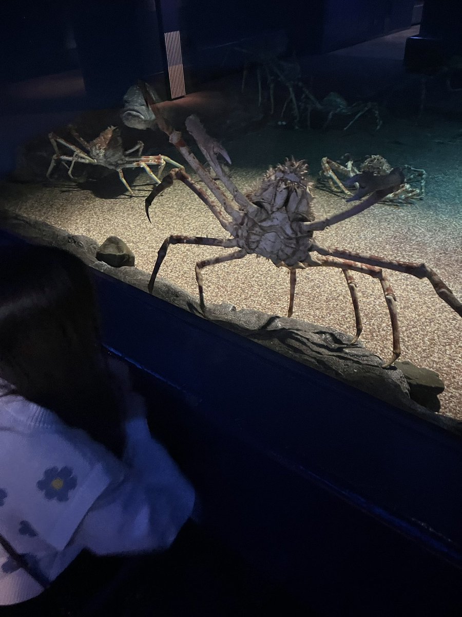 xx_pity's tweet image. ひたち海浜公園と水族館行ってきた〜🦭