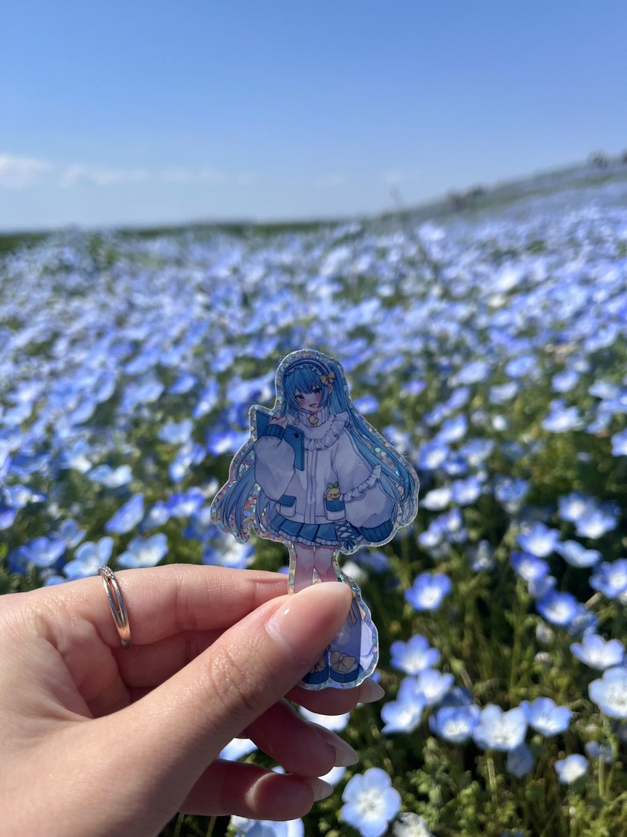 xx_pity's tweet image. ひたち海浜公園と水族館行ってきた〜🦭