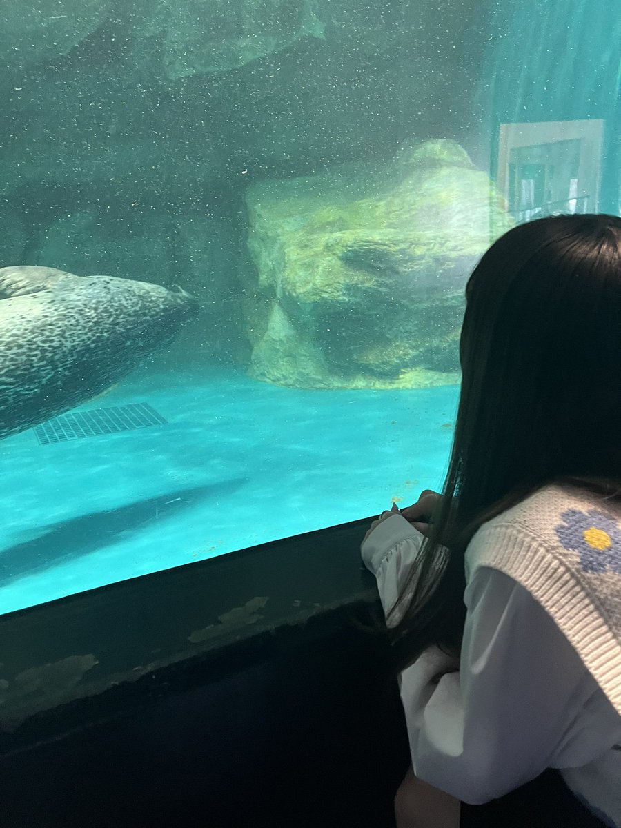 xx_pity's tweet image. ひたち海浜公園と水族館行ってきた〜🦭