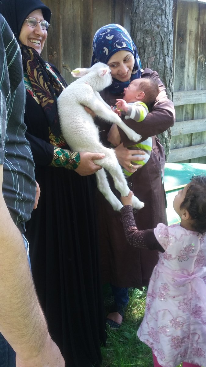 Topsy Farms tweet media