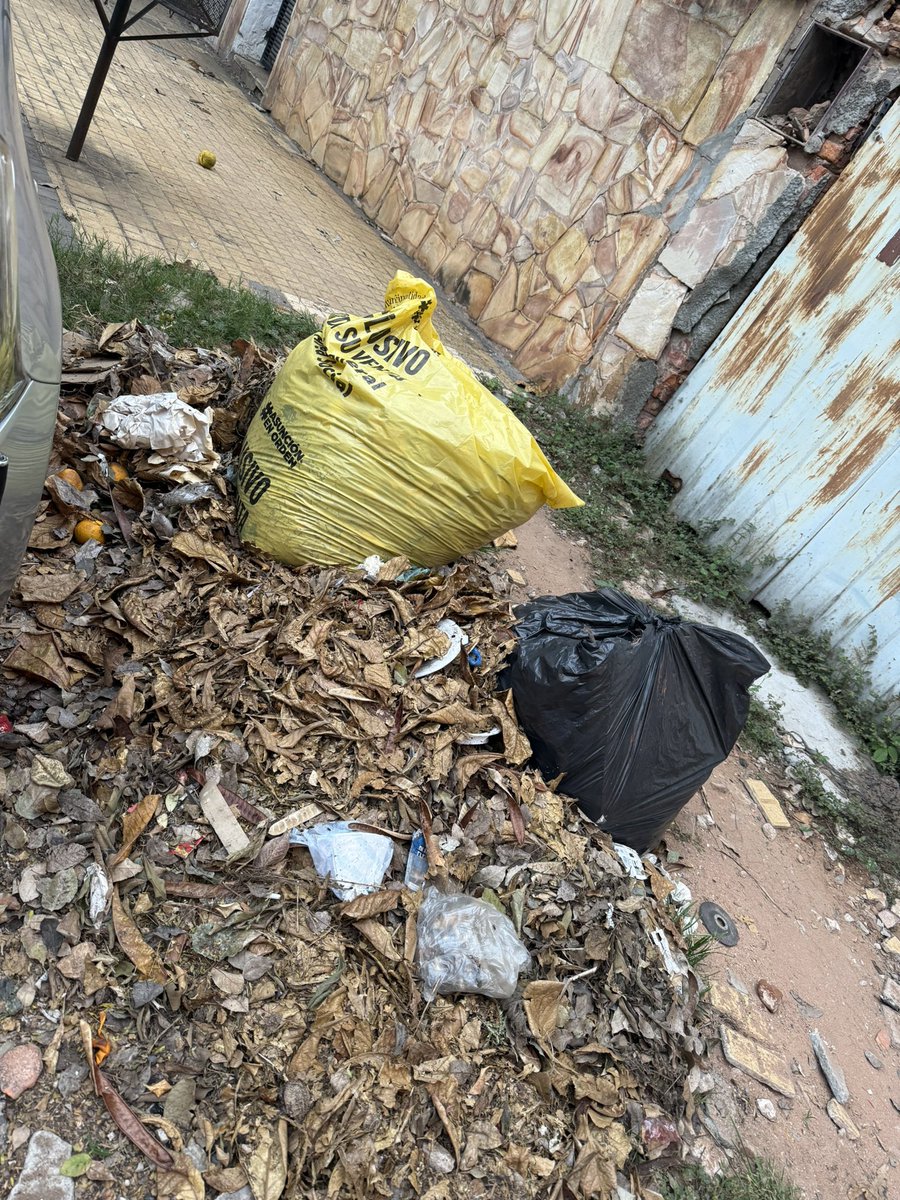 Vino la <a href="/AsuncionMuni/">Municipalidad de Asunción</a> y dejó estas bolsas con la basura en la vereda desde hace tres días y es época de dengue y no está bueno. Podrían buscar? <a href="/oscarodriguezpy/">Oscar Nenecho Rodríguez</a>