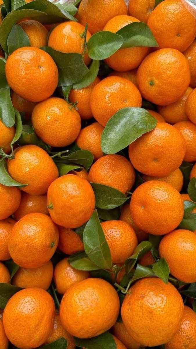 jesus_osorior's tweet image. La mandarina es mucho más que una fruta dulce.
En los últimos años, su consumo ha disminuido mientras aumentan los suplementos artificiales.
Por eso investigué 8 beneficios de la mandarina, avalados por ciencia, que deberías conocer hoy: 🧵