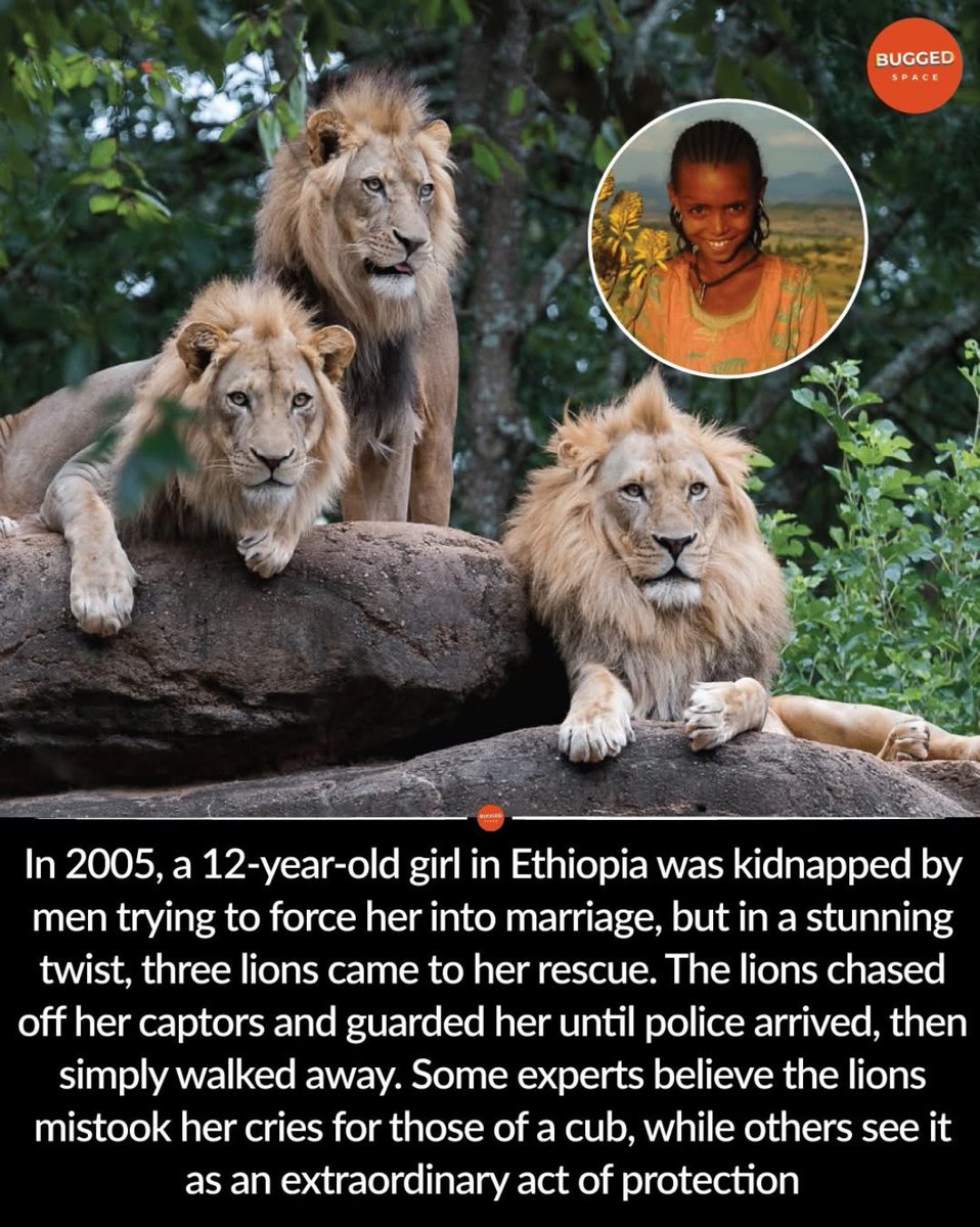 Wow!