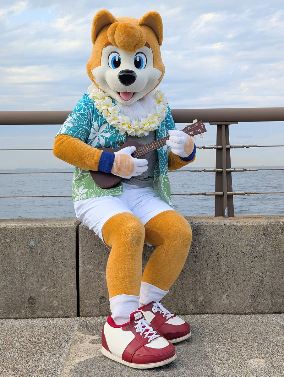 hachiroakita's tweet image. いろんな場所にお出かけして写真撮ってもらったよUo^ｪ^oU
ちょっとだけ持ってた衣装をグレードアップしてみました