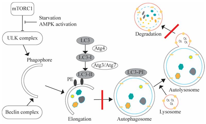 #EditorsChoice
Read now ➡️ "Integrated Multi-Omics Analysis of Cerebrospinal Fluid in Postoperative Delirium" by Bridget A. Tripp, et al. 

The article 👉 brnw.ch/21wSvaI
The list 👉 brnw.ch/21wSvaH