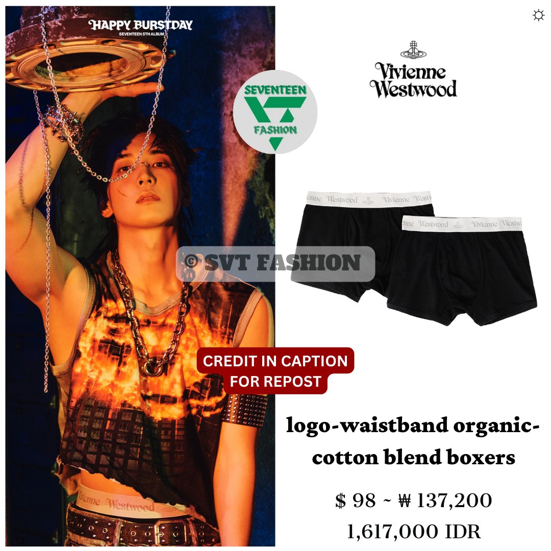 SEVENTEEN ウォヌアクスタ SEVENTEEN - SEVENTEEN セブチ ウォヌ アクスタ アクリル