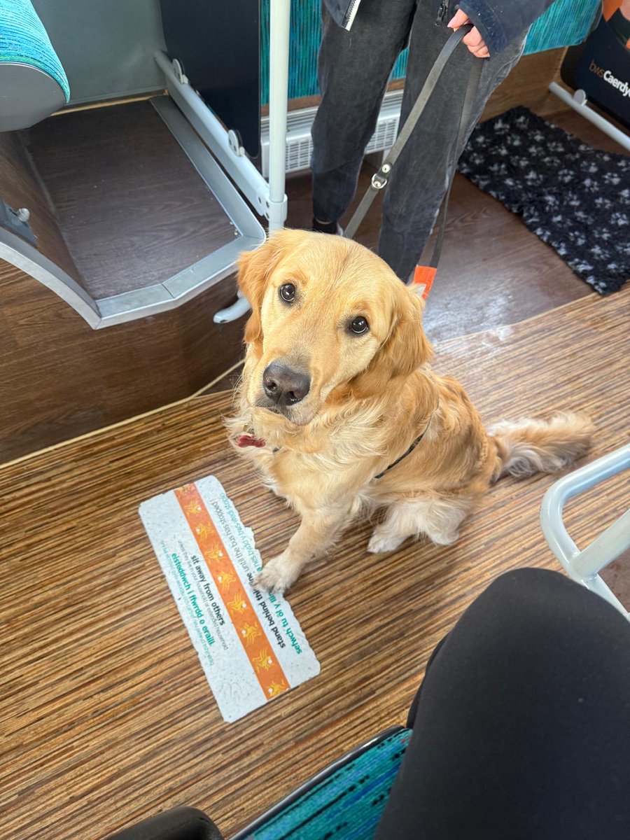 🐶Exciting News! We are thrilled to announce that Guide Dogs UK has been chosen as our Charity of the Year for 2025–2026! 🚍

🧡 You can make a difference today by donating to Guide Dogs UK: justgiving.com/page/cardiff-b…
