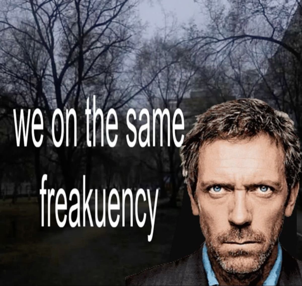 snoopysfilms's tweet image. me and the people who like the same movies as me