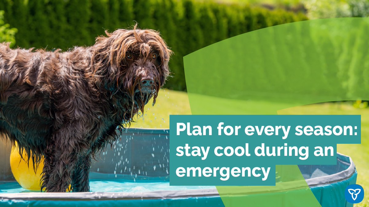 Pets can be impacted by the heat &amp; some may have a hard time cooling down. This summer, keep everyone cool, comfortable &amp; hydrated.
For extreme heat tips:  ontario.ca/page/Extreme-H…
