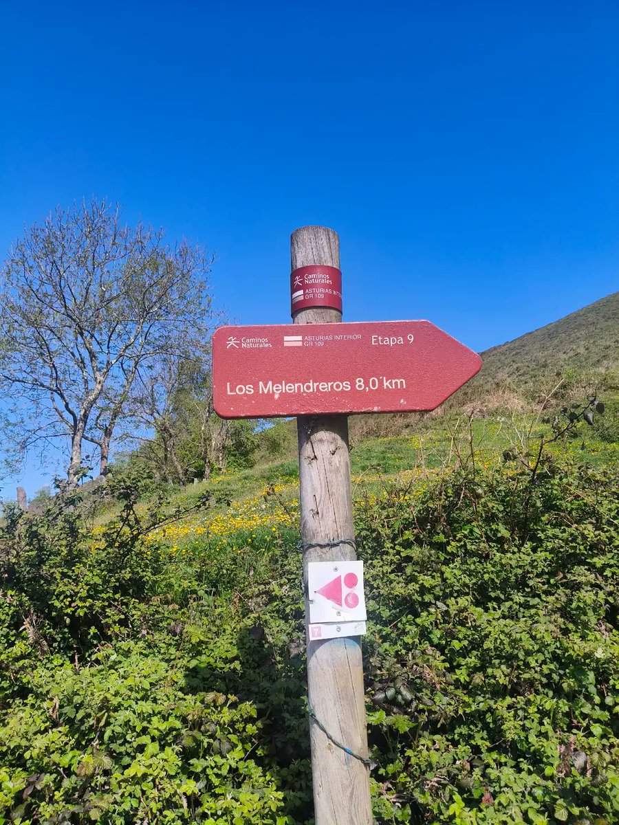 Dstacaopos's tweet photo. Naturaleza. Relax. Actividades en el medio natural. DSTACA.
#dstaca #oposicionprimaria #oposicionsecundaria #disfrutar #hazdeporte #naturaleza 
dstacaopos@gmail.com https://t.co/maFP6AGo86