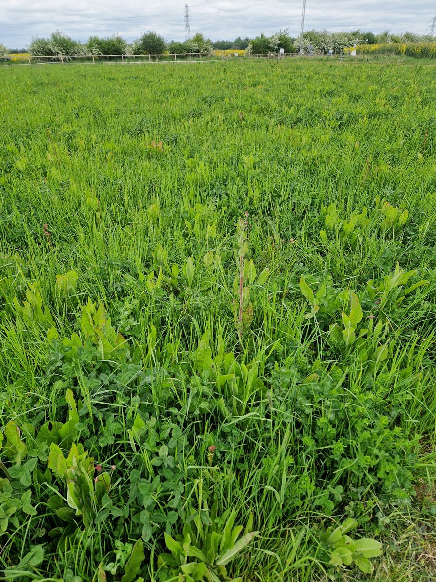 FixOurFood tweet media