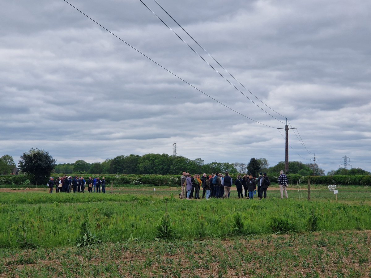 FixOurFood tweet media