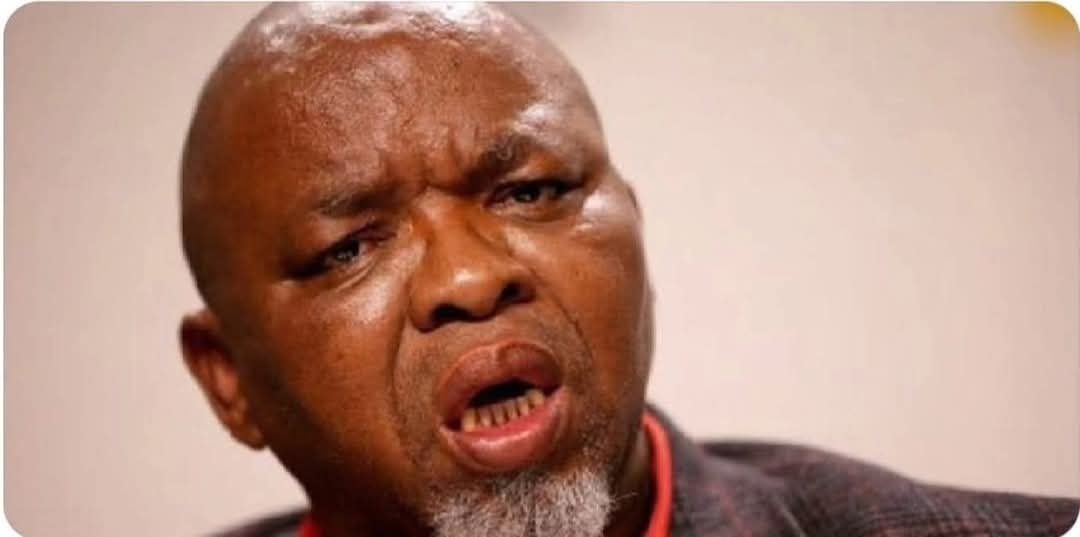 Shi Mutale🇿🇲 tweet media