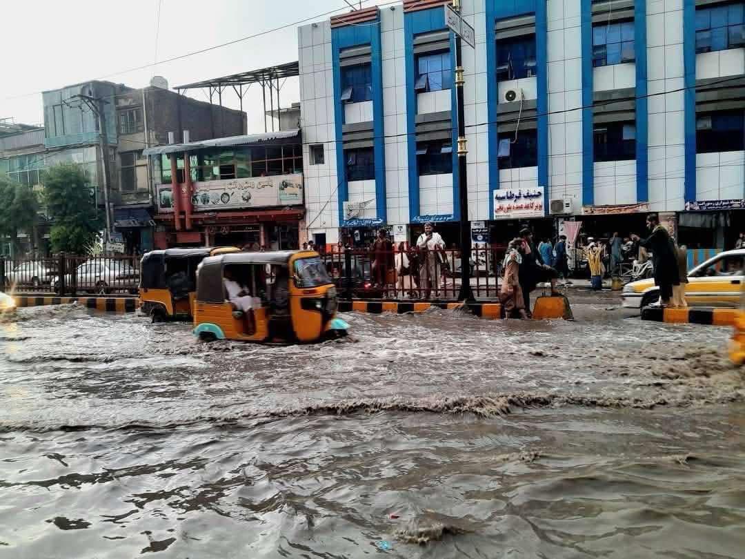 BILAL SARWARY on X: Heavy rain and strong winds have caused damage to buildings and homes in Jalalabad city and across the province. https://t.co/3SMlc13KjX / X BILAL SARWARY on X: Heavy rain and strong winds have caused damage to buildings and homes in Jalalabad city and across the province. https://t.co/3SMlc13KjX / X