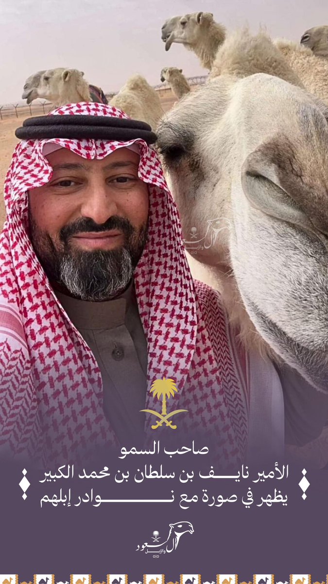 صاحب السمو الأمير
 نايف بن سلطان بن محمد الكبير 
في ظهور له مع #الإبل 🐪🇸🇦👏🏻