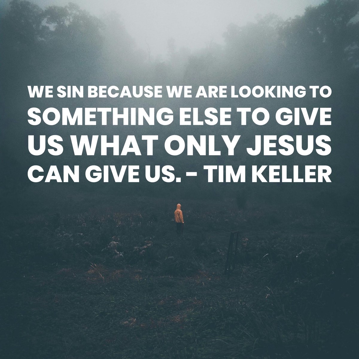 We sin because we are looking to something else to give us what only Jesus can give us.

#timkeller #timkellerquote