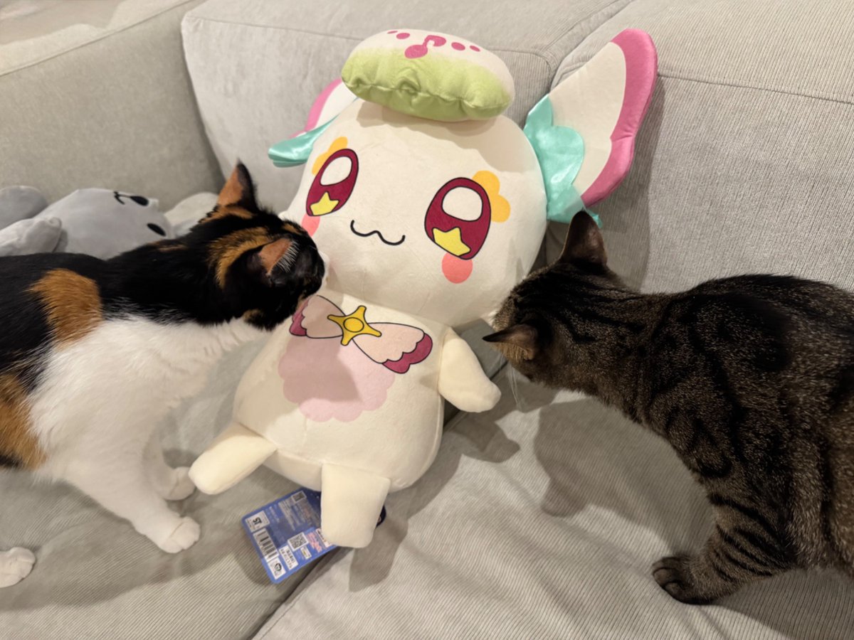 Gqbncs8W8AERmfF.jpg?format=jpg