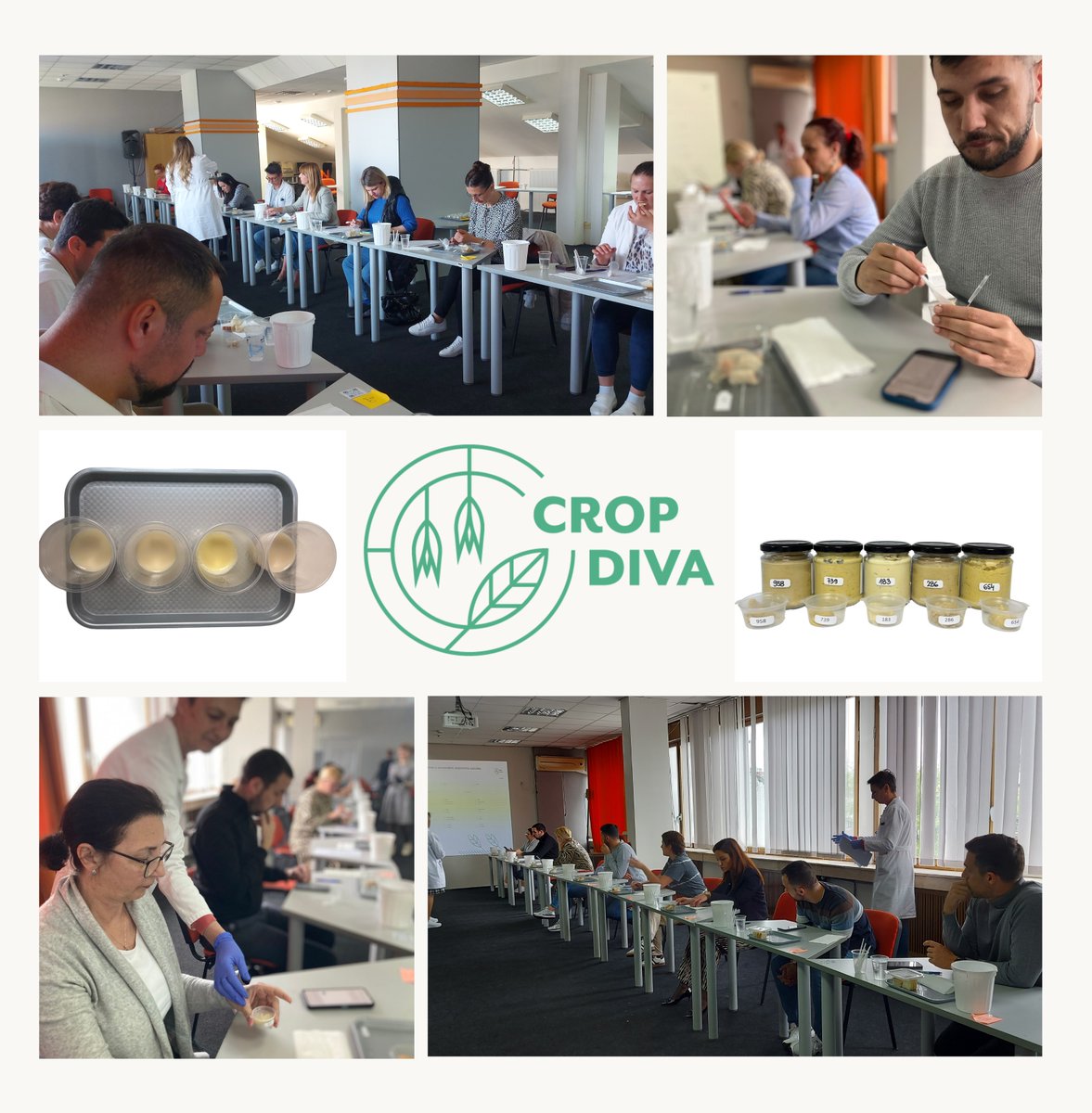 As part of the <a href="/H2020Cropdiva/">CROPDIVA</a> project, the Serbian team conducted a consumer test where participants had the opportunity to evaluate innovative drinks and spreads developed from underutilized plant species.
#ResearchImpactEU
#H2020
#H2020Cropdiva