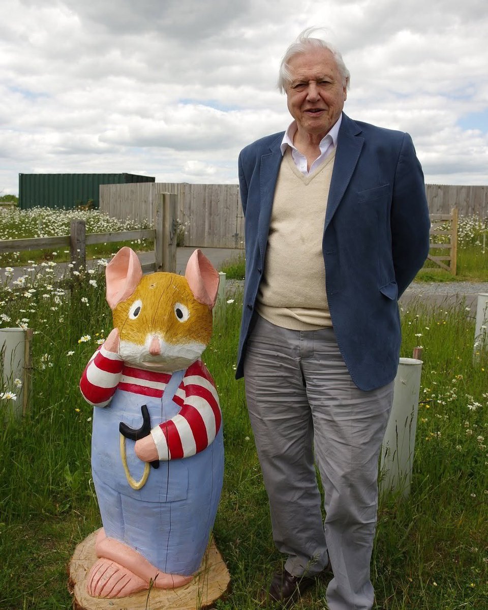Many happy returns to Sir David Attenborough on his 99th birthday! 

A few years ago Wilfred was lucky enough to meet him on a visit to the Brambly Hedge Trail at @essexwildlifetrust Abberton Reservoir.