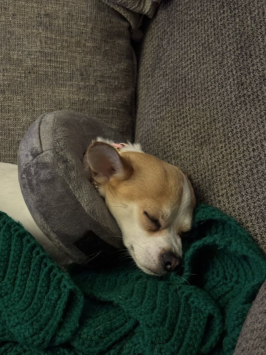 i’m normal tweet media