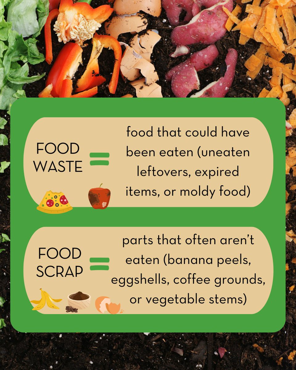🌱 Happy Compost Week! 🍏
Not everything belongs in the compost—but a lot can go in! We want to stay mindful of what we’re adding to the compost—focusing on food scraps and do our best to limit overall food waste.