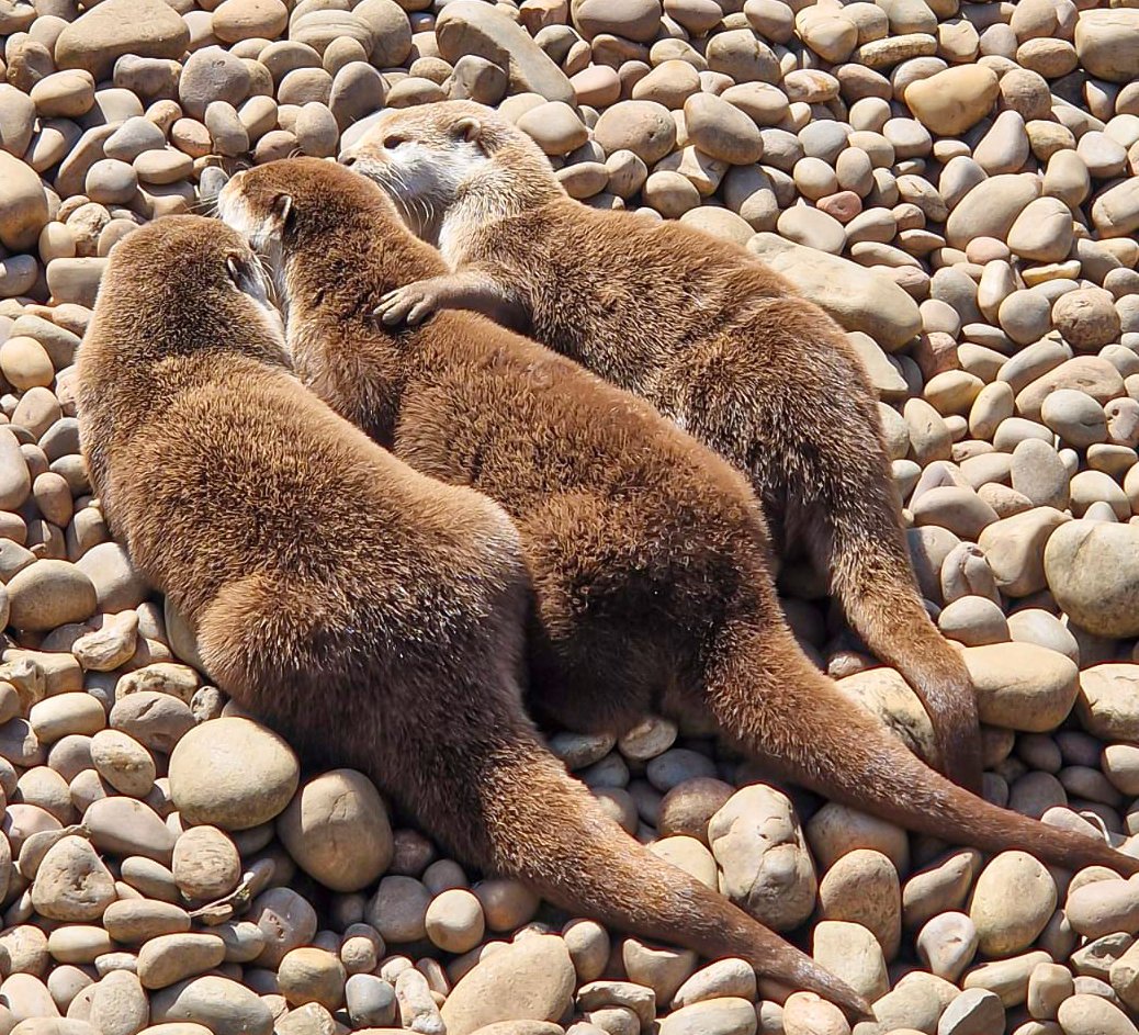 Brad is trying to spend some quality time with Brenda, but Steve has arrived to make things weird. 
(Steve is the one on the right)