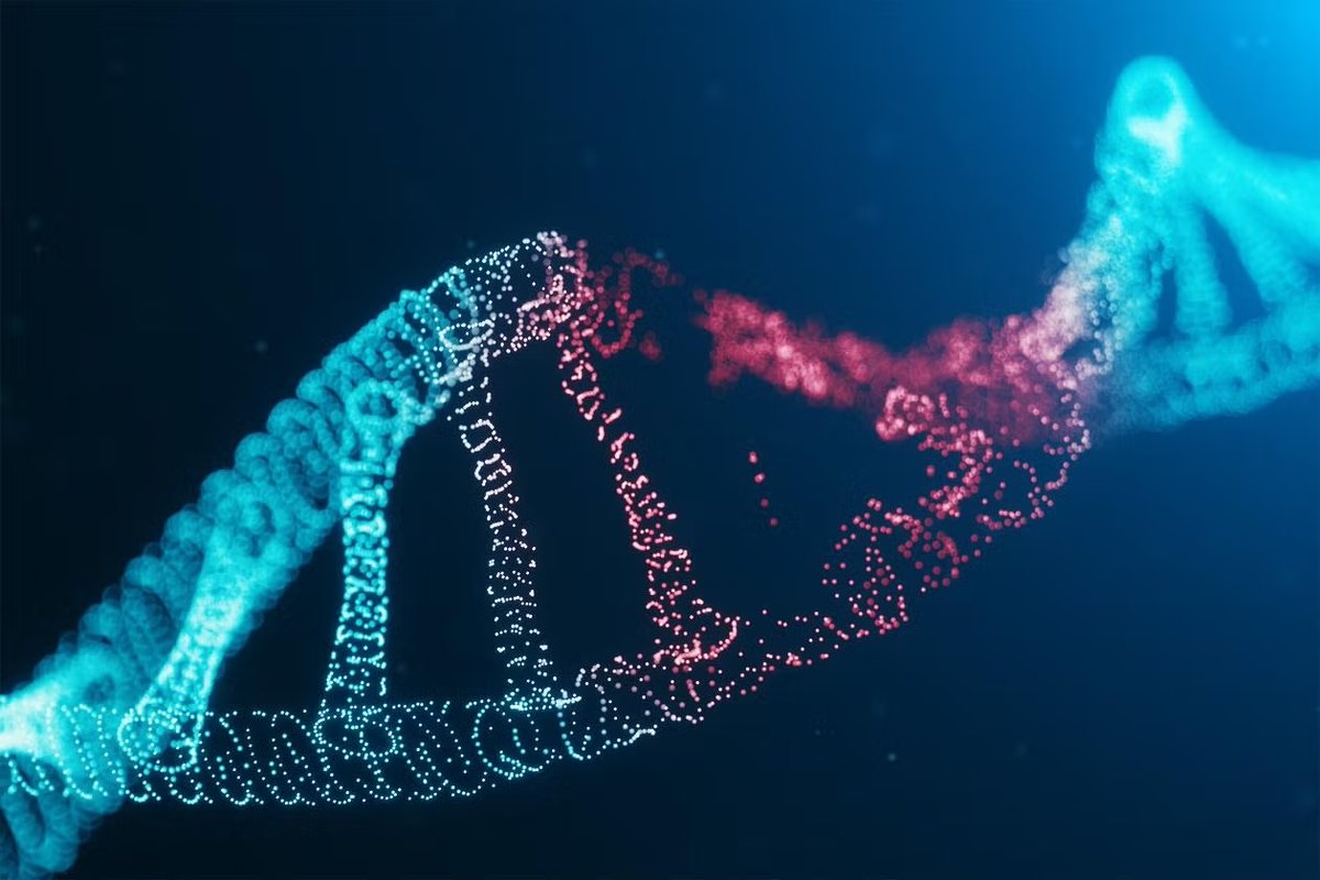 Yale School of Medicine (@yalemed) on Twitter photo In a new study, researchers at YSM and <a href="/nyugrossman/">NYU Grossman School of Medicine</a> say mutations in the #gene BRCA2 can help explain why a class of #cancer #drugs called PARP inhibitors work – and suggest how they might be improved. brnw.ch/21wSvcx In a new study, researchers at YSM and <a href="/nyugrossman/">NYU Grossman School of Medicine</a> say mutations in the #gene BRCA2 can help explain why a class of #cancer #drugs called PARP inhibitors work – and suggest how they might be improved. brnw.ch/21wSvcx