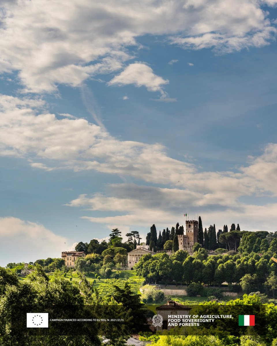 Masottina (@masottina_wines) on Twitter photo Rooted in Coneglianoâs soul, Masottina wines are born from passion, patience, and purpose. Each vintage reflects our dedication to land and people. Deeply Italian, proudly authentic.
#Masottina #FamilyWinery #ItalianExcellence #Conegliano <a href="/hnwines/">Hallgarten & Novum Wines</a> Rooted in Coneglianoâs soul, Masottina wines are born from passion, patience, and purpose. Each vintage reflects our dedication to land and people. Deeply Italian, proudly authentic.
#Masottina #FamilyWinery #ItalianExcellence #Conegliano <a href="/hnwines/">Hallgarten & Novum Wines</a>