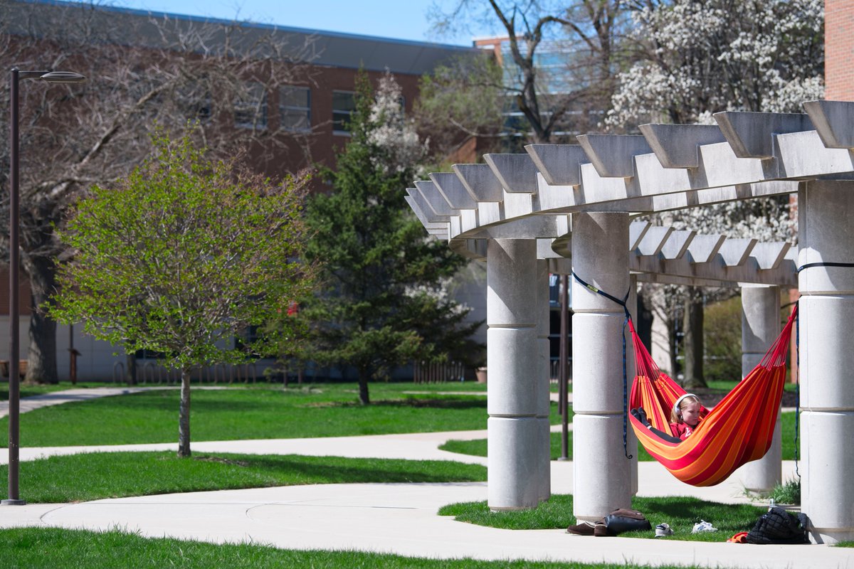 I sought the Lord, and he answered me and delivered me from all my fears. Those who look to him are radiant, and their faces shall never be ashamed. || Psalm 34:4-5