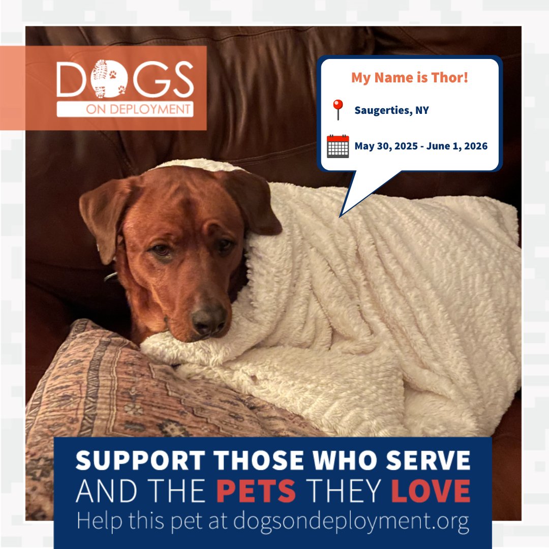 Military pets need your help nationwide!

Abbey: ow.ly/EO6k50VNCr9

Hudson: ow.ly/9VQs50VNCr8

Oscar: ow.ly/fJyM50VNCrb

Thor: ow.ly/otR250VNCra

(Must be registered as a DoD Boarder and logged on to view all information!)

#DogsonDeployment