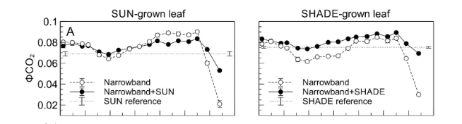 Plant Cell & Environment (@plantcellenvir) on Twitter photo Far-red light is weak for photosynthesis, but when combined with shorter wavelengths, it boosts CO₂ assimilation beyond additive effects. This study shows it also occurs under broadband white light, especially in shade.
onlinelibrary.wiley.com/doi/epdf/10.11… <a href="/wileyplantsci/">Wiley Plant Science</a> #OpenAccess Far-red light is weak for photosynthesis, but when combined with shorter wavelengths, it boosts CO₂ assimilation beyond additive effects. This study shows it also occurs under broadband white light, especially in shade.
onlinelibrary.wiley.com/doi/epdf/10.11… <a href="/wileyplantsci/">Wiley Plant Science</a> #OpenAccess
