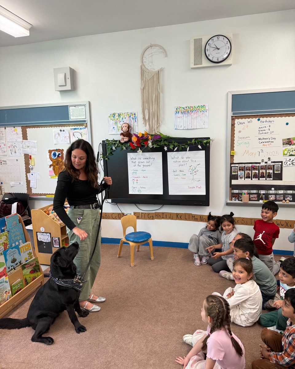 Our comfort dog, Kali Rose, joined Principal Bennett for a peaceful morning at Z013. Students and Kali Rose enjoyed time to relax, connect, and explore their curiosity together!