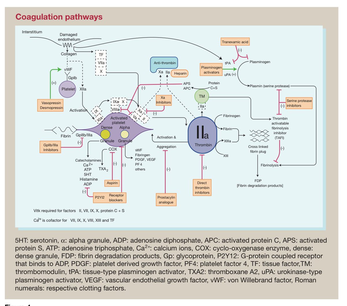 noamaan wilson-baig tweet media