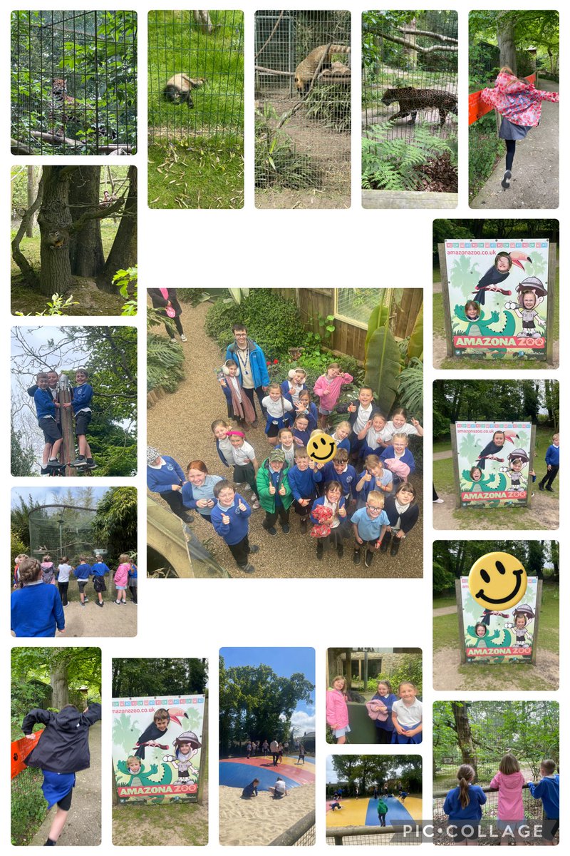 We’ve been to <a href="/AmazonaZoo/">Amazona Zoo</a> #turtlesareace #bringinglearningtolife <a href="/Astley_Primary/">Astley Primary School</a>