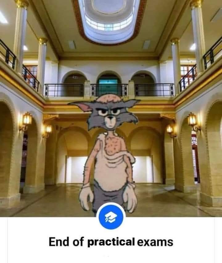 Vmhmd🔻 tweet media