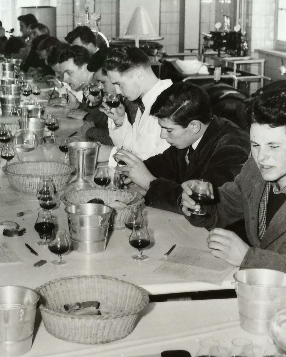 Congratulations to San Leonardo on this prestigious &amp; well deserved award! The <a href="/gambero_rosso/">dnapole</a> Winery of the Year award.
"It is thanks to the vision of Marchese Carlo, a passionate enologist &amp; a central figure in the estate’s history, that San Leonardo has become what it is today.