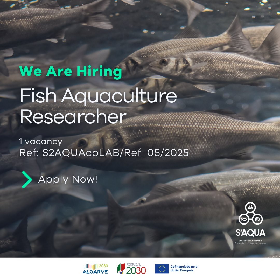 S2AQUAcoLAB's tweet photo. APPLY NOW! 📌 𝟏 𝐎𝐩𝐩𝐨𝐫𝐭𝐮𝐧𝐢𝐭𝐲 𝐟𝐨𝐫 𝐅𝐢𝐬𝐡 𝐀𝐪𝐮𝐚𝐜𝐮𝐥𝐭𝐮𝐫𝐞 𝐑𝐞𝐬𝐞𝐚𝐫𝐜𝐡𝐞𝐫 📅 𝗔𝗽𝗽𝗹𝗶𝗰𝗮𝘁𝗶𝗼𝗻𝘀 𝘂𝗻𝘁𝗶𝗹 𝗠𝗮𝘆 𝟮𝟓𝘁𝗵 ℹ️ More info on our website. Apoiado pelos #FundosEuropeus, no âmbito do Programa Regional #ALGARVE2030 #PT2030 #jobs https://t.co/BpE9CwYsYj